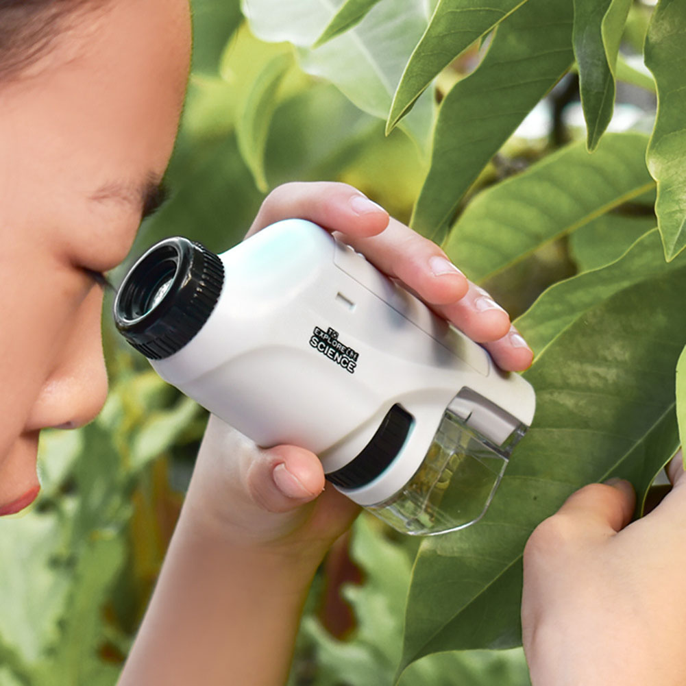 Handheld Pocket Microscope 60- - đánh giá và giá Outdoor Power Kit